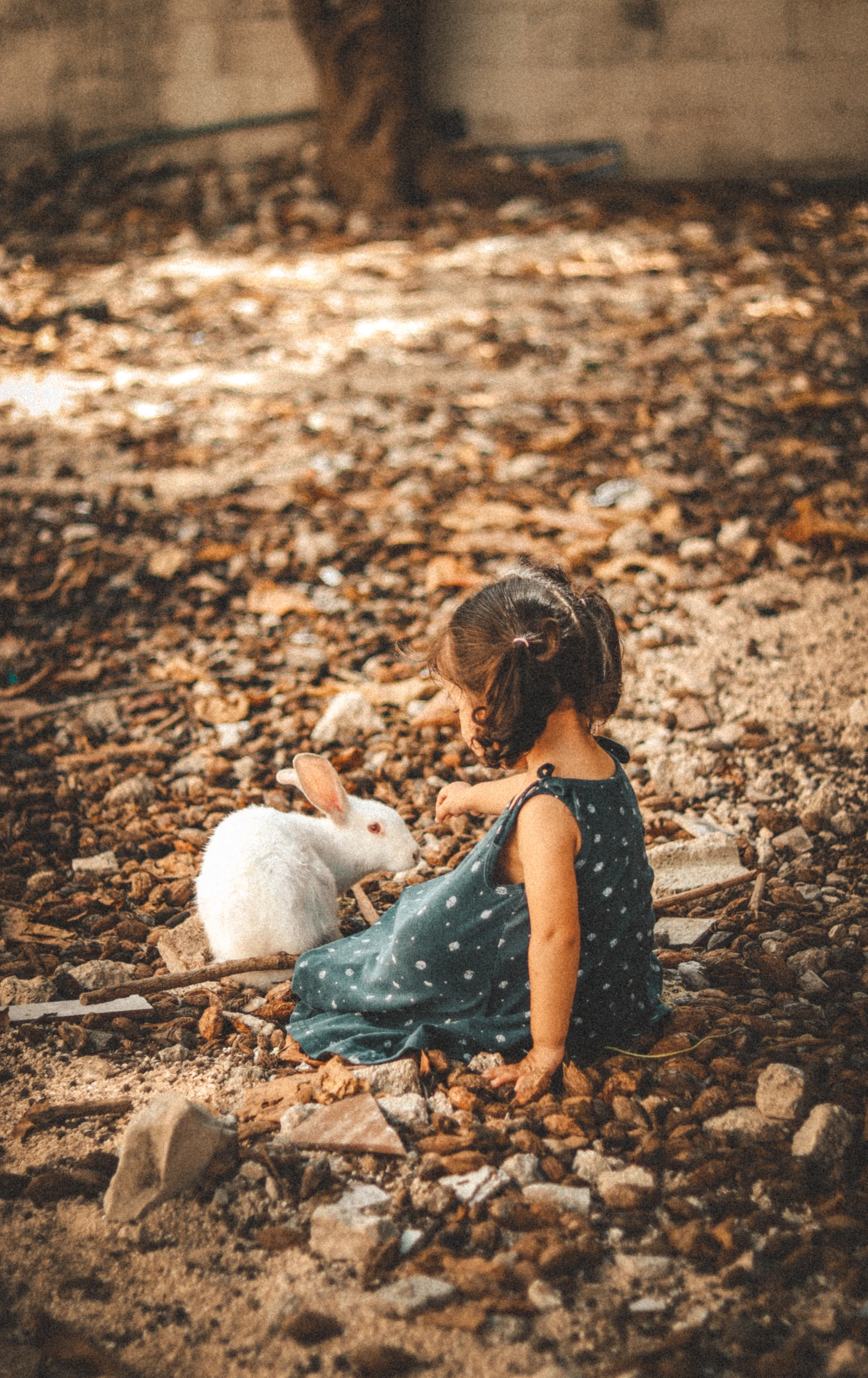 ¿Cómo se adquiere la Alta Sensibilidad? ¿Se quita?